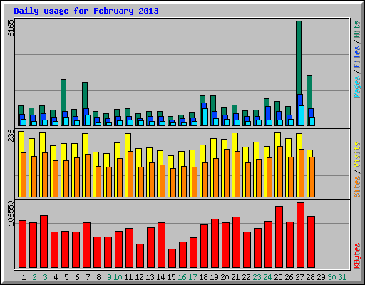 Daily usage for February 2013