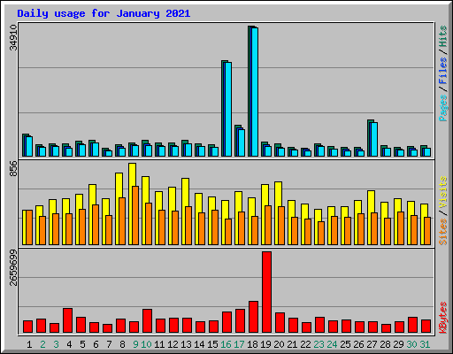 Daily usage for January 2021