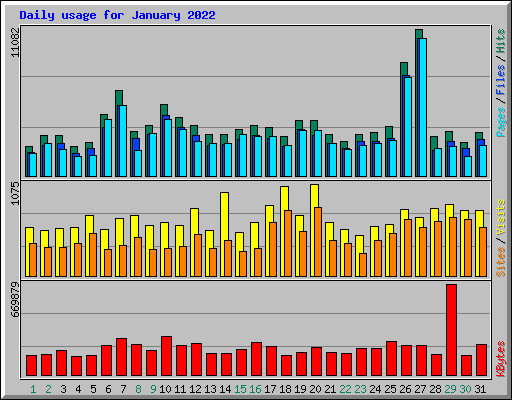 Daily usage for January 2022