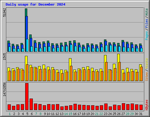 Daily usage for December 2024