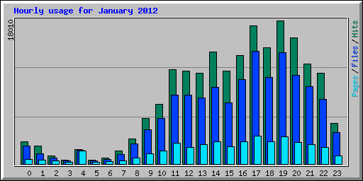 Hourly usage for January 2012