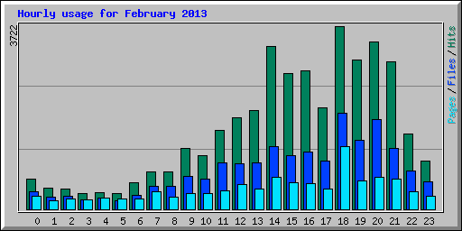 Hourly usage for February 2013