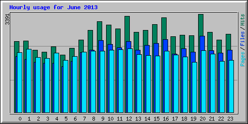 Hourly usage for June 2013