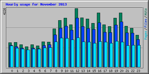 Hourly usage for November 2013