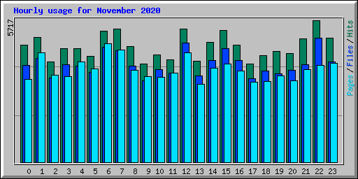 Hourly usage for November 2020