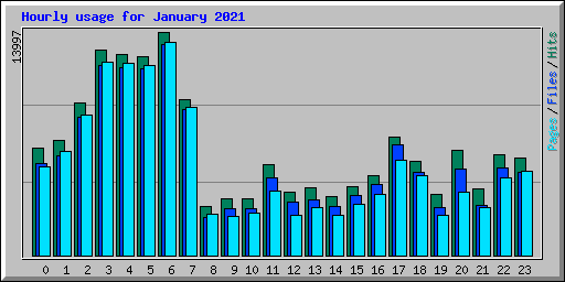 Hourly usage for January 2021