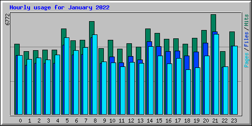 Hourly usage for January 2022