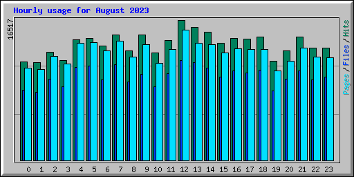 Hourly usage for August 2023