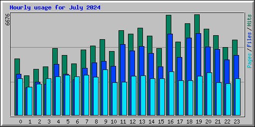 Hourly usage for July 2024