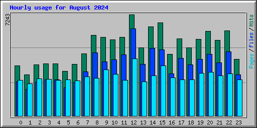 Hourly usage for August 2024