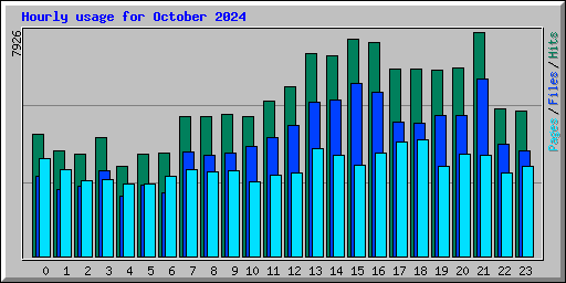Hourly usage for October 2024