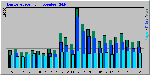 Hourly usage for November 2024