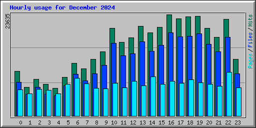 Hourly usage for December 2024