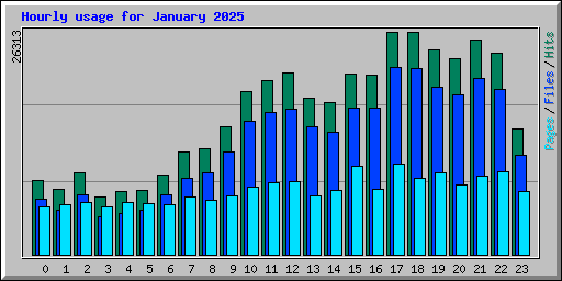 Hourly usage for January 2025