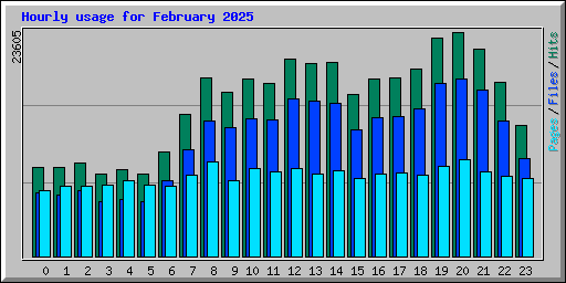 Hourly usage for February 2025
