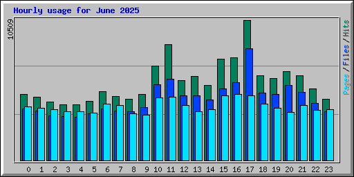 Hourly usage for June 2025