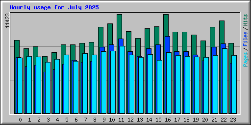 Hourly usage for July 2025