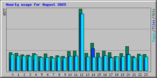 Hourly usage for August 2025