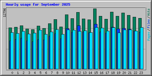 Hourly usage for September 2025