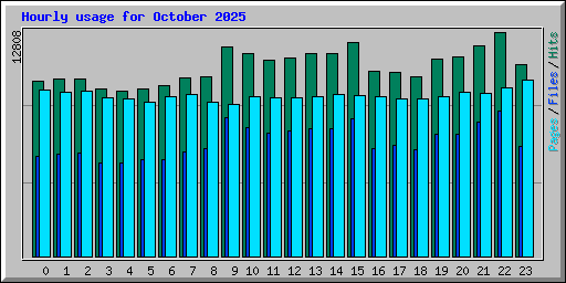 Hourly usage for October 2025