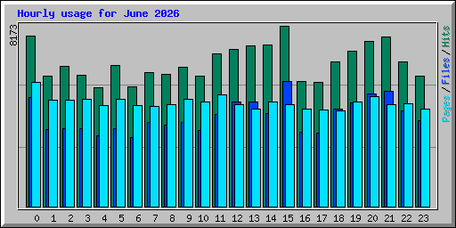 Hourly usage for June 2026